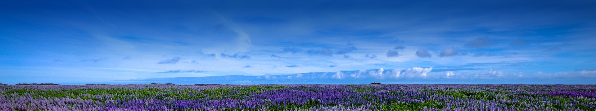 绵阳南山流芳公墓